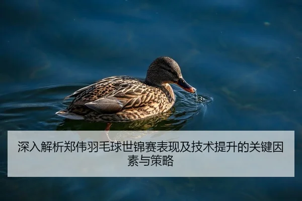 深入解析郑伟羽毛球世锦赛表现及技术提升的关键因素与策略